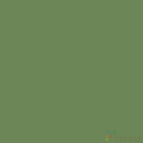 изображение Керамогранит Feeria - GTF475 60x60 (зеленые водоросли)