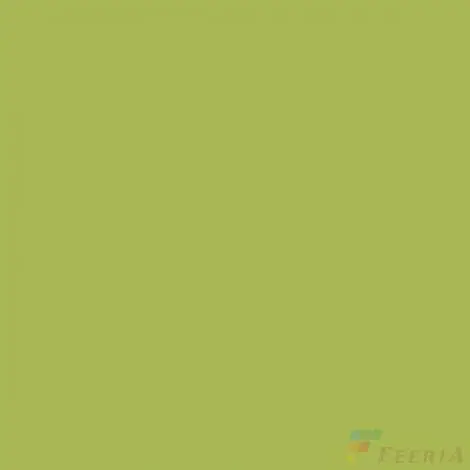 изображение Керамогранит Feeria - GTF478 60x60 (зеленый делоне)