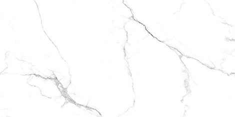 изображение Керамогранит полированный Caribbean White Glossy 120x60