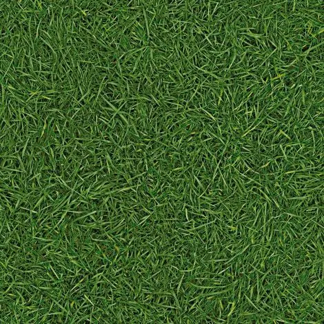 изображение Линолеум Vision Grass T25